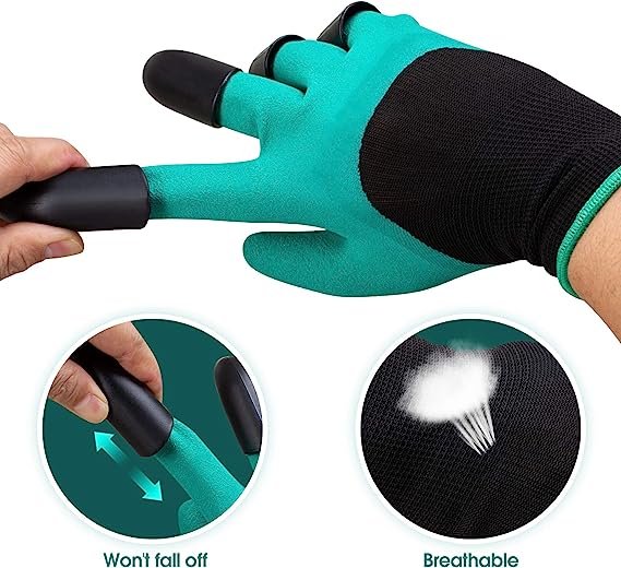 thumnail