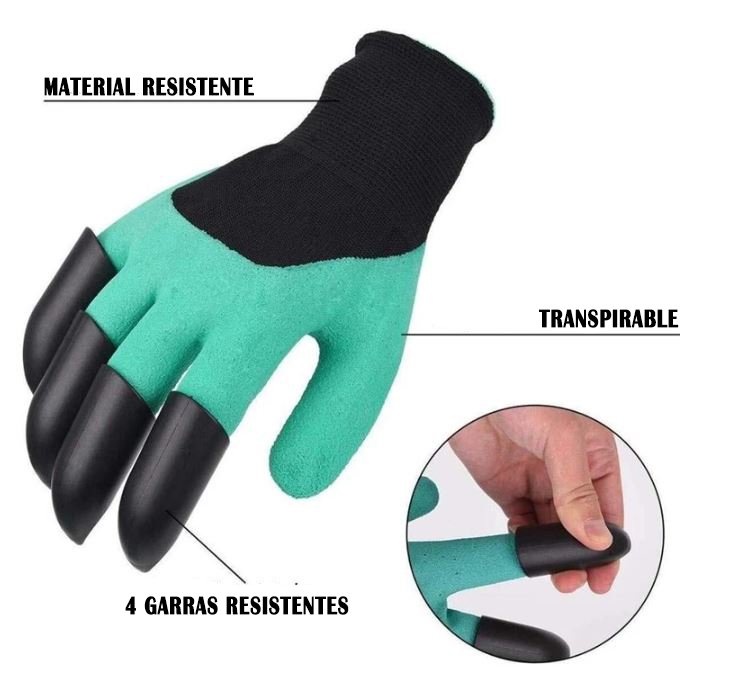 thumnail